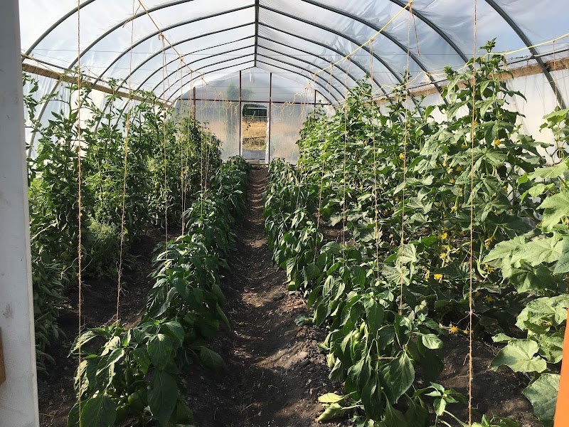 H and L Farm 3