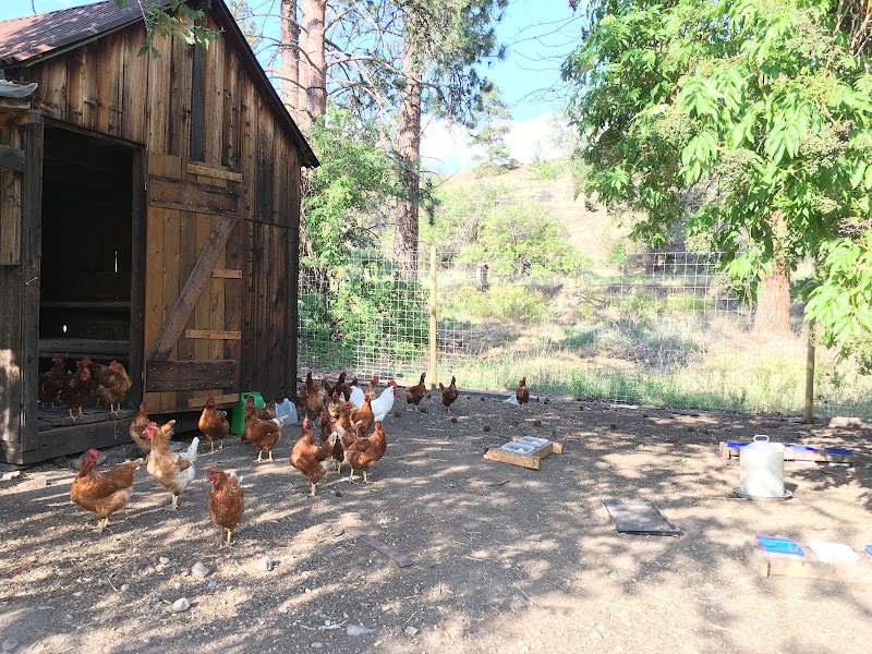 H and L Farm 5