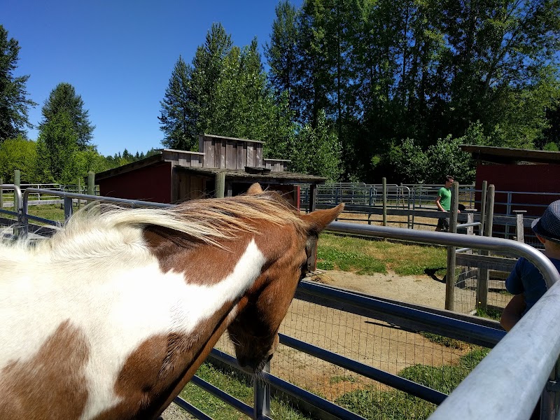 Hamilton Farms 2