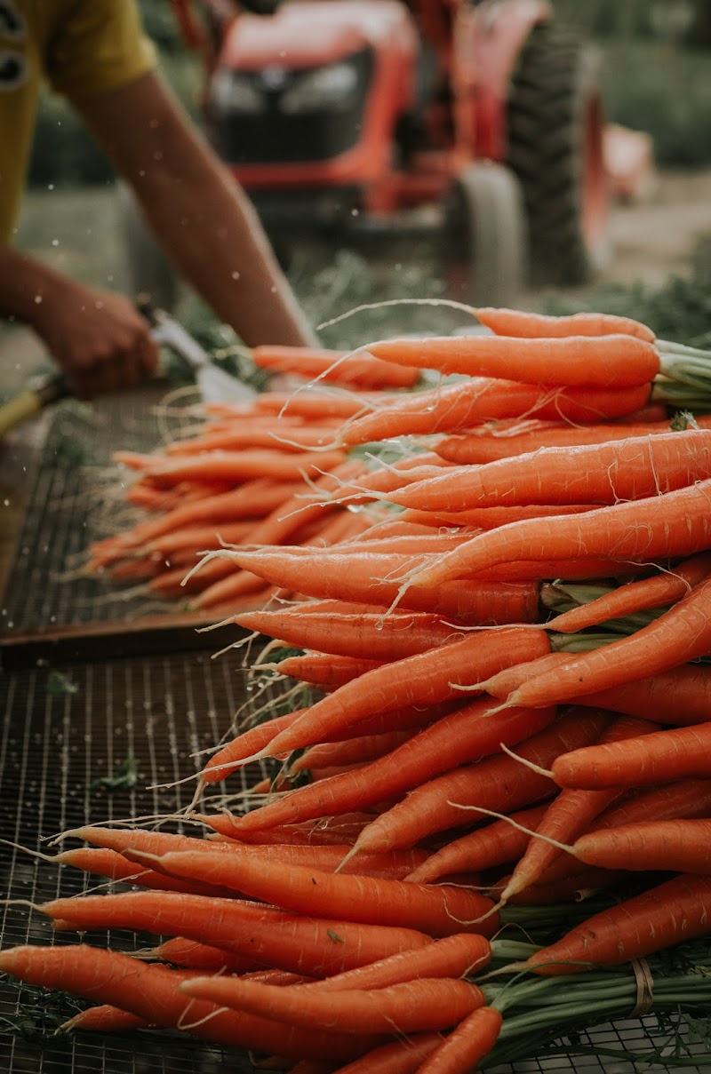 Honest Food Farm