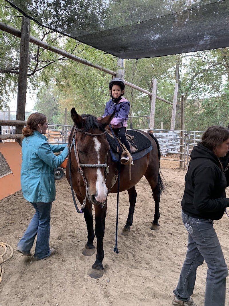Indian Grove Riding Stables 2