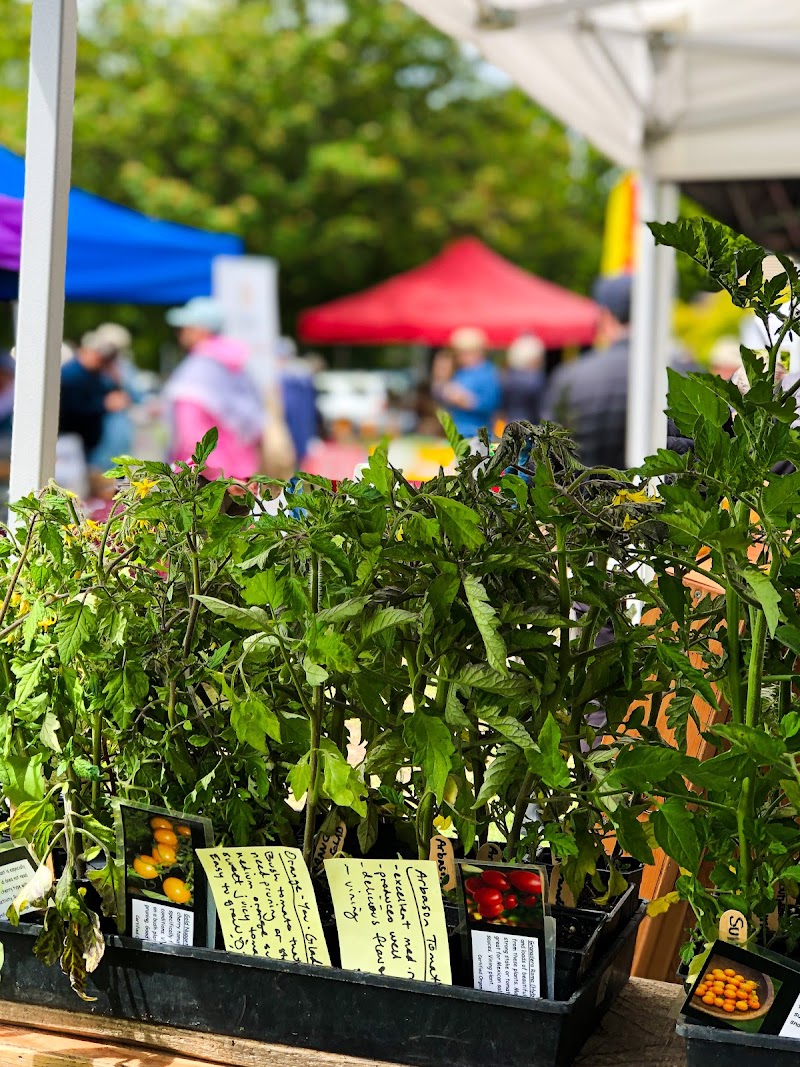 James Bay Market 2