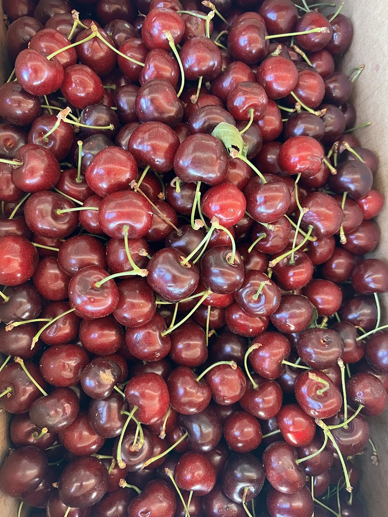 JasSar Fruit Stand 2