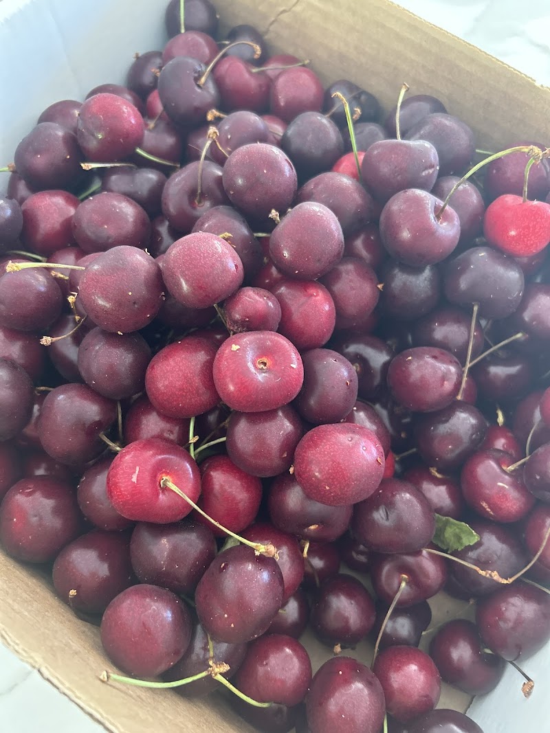 JasSar Fruit Stand 3