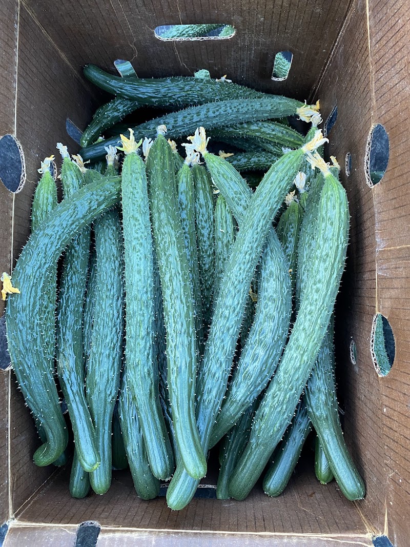 Kind-Hearted Farm 慈心农场 3