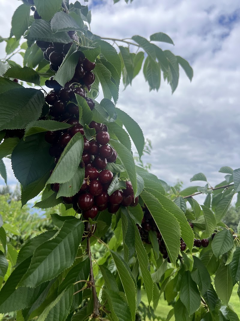 Kuipers Family Fruit Farm 2