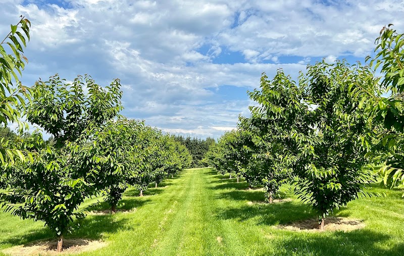 Kuipers Family Fruit Farm 5