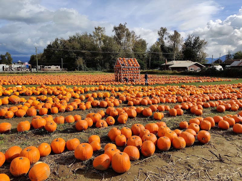 Maan Farms Market and Estate Winery 5