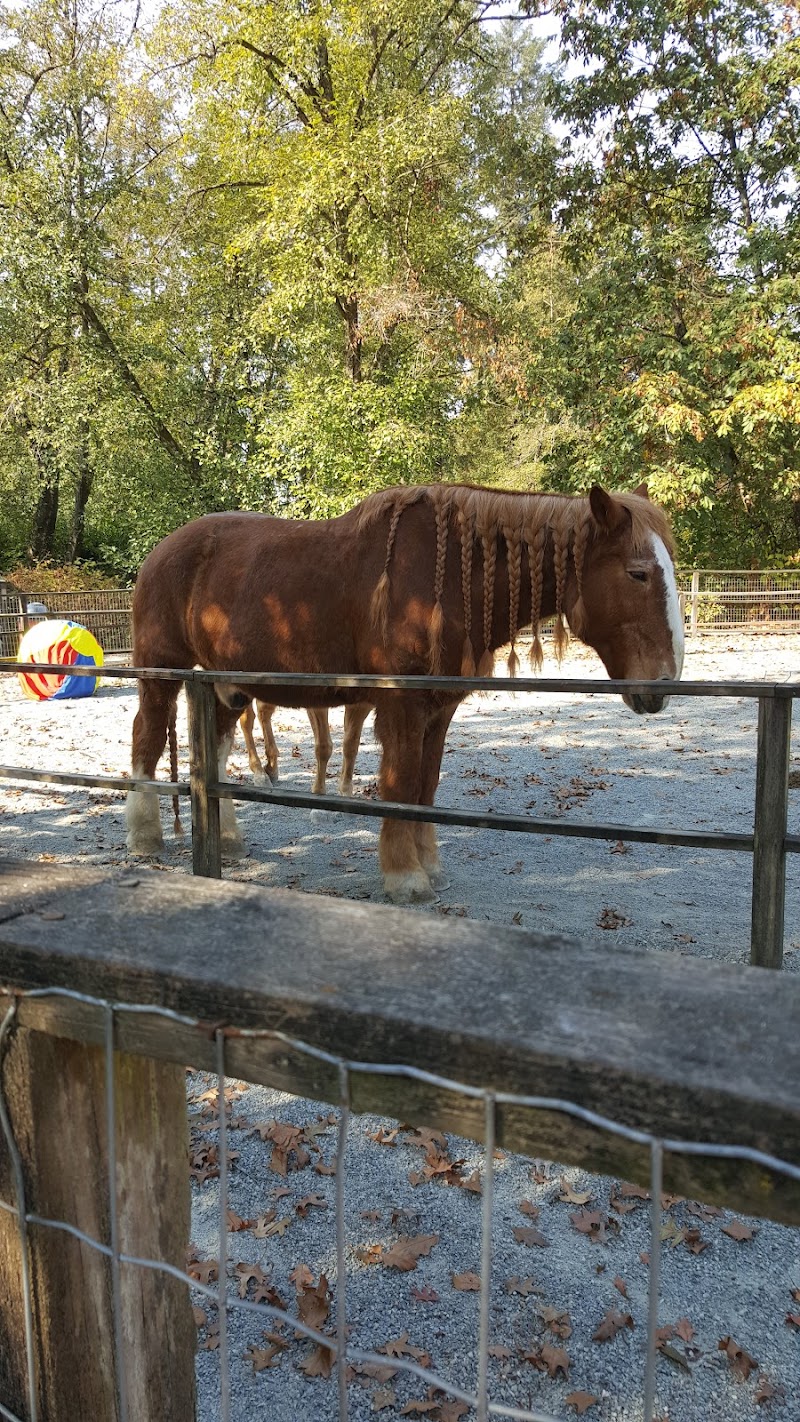 Maplewood Farm 2