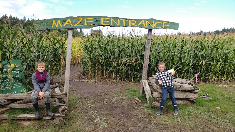McNab's Produce Farm 5