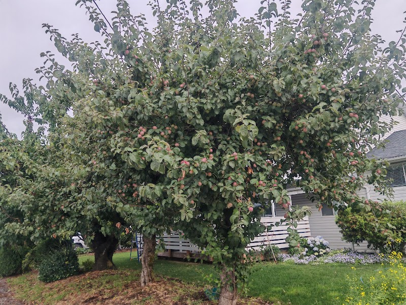 Meadow Berry Farms 4