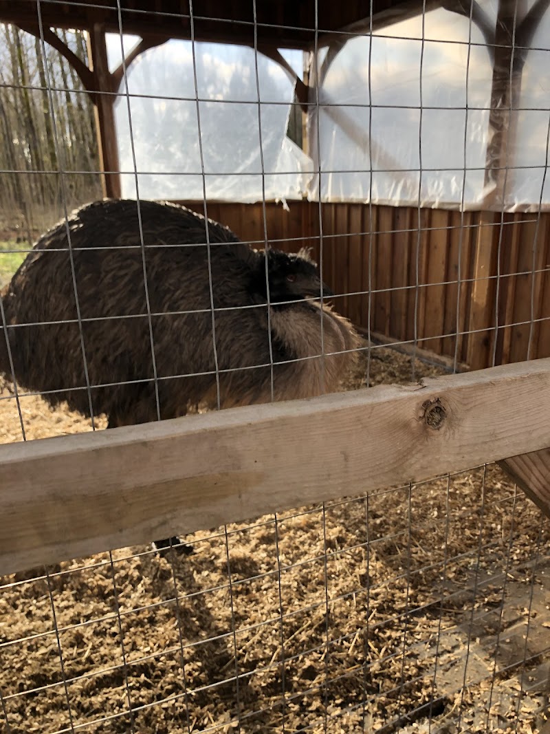 Meadows Family Farm Ltd. 4
