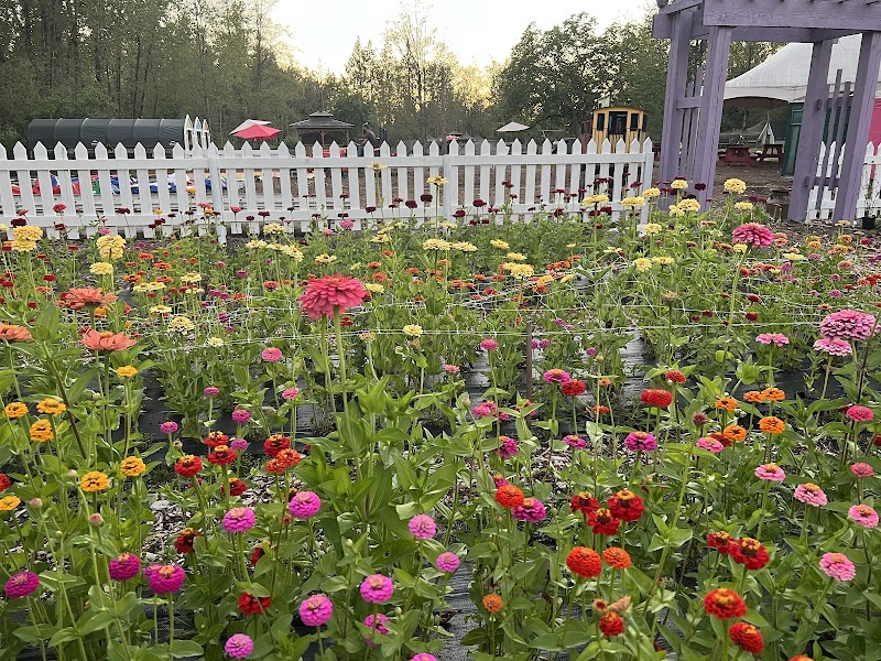 Meadows Family Farm Ltd. 5