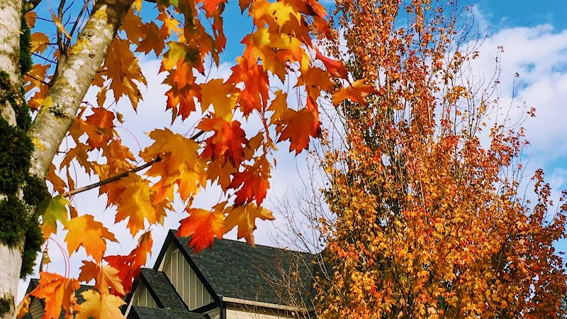 Millard Orchard Park 4