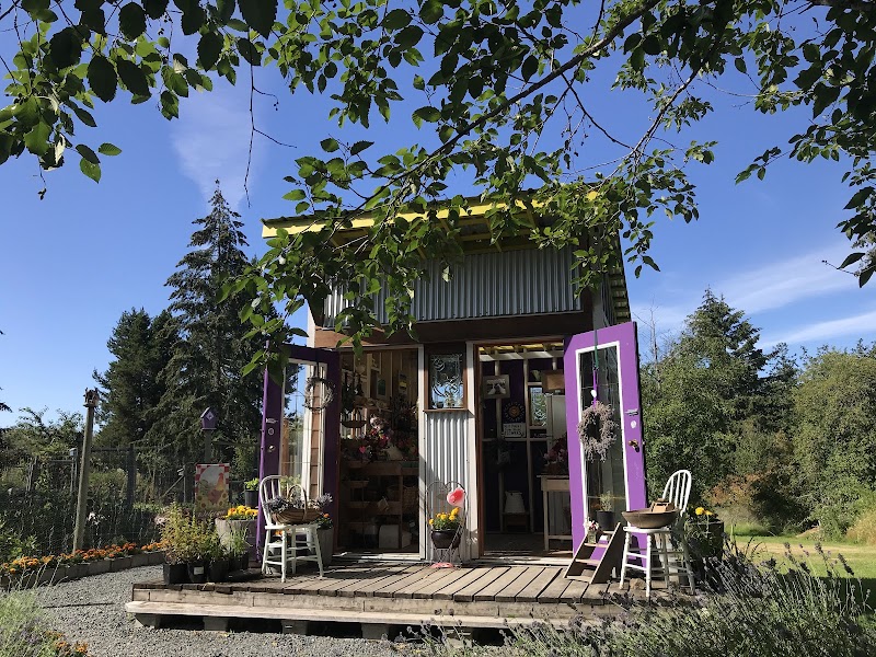 Miss Dahlia Store
