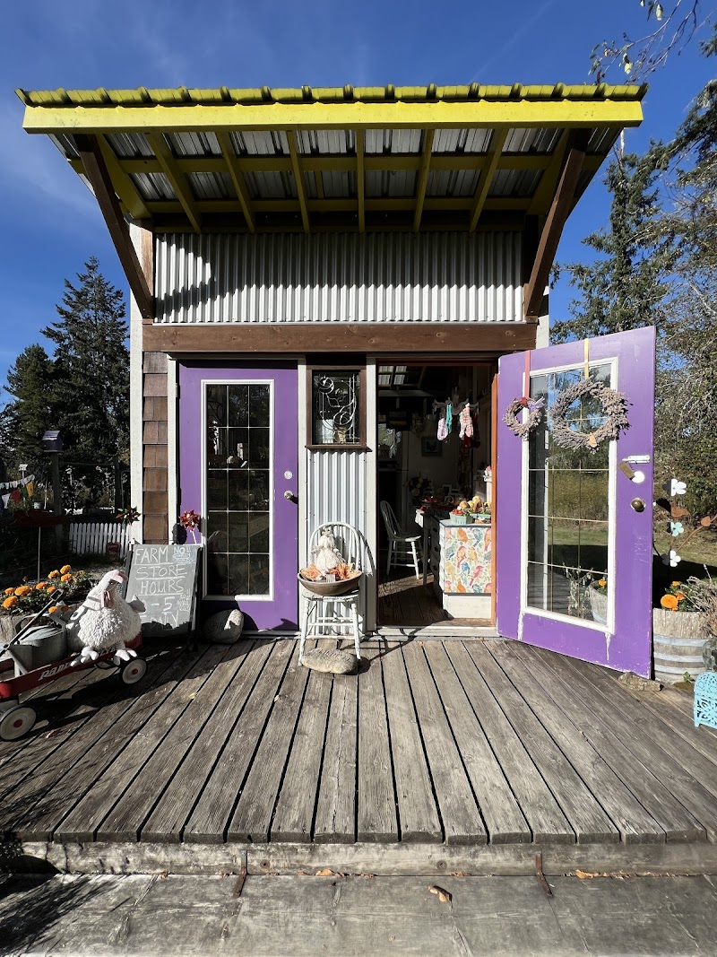 Miss Dahlia Store 3