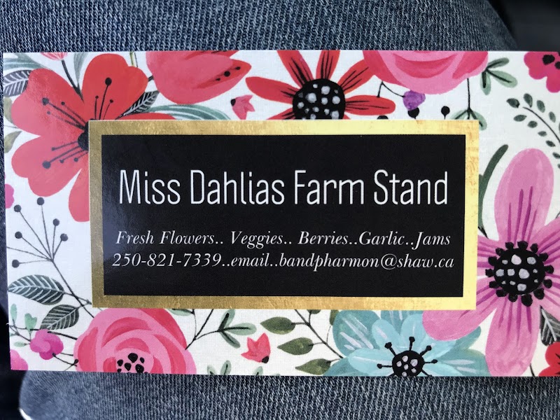 Miss Dahlia Store 4