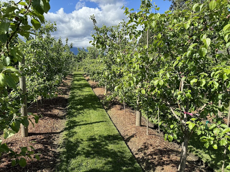 Murphy's Orchard 3