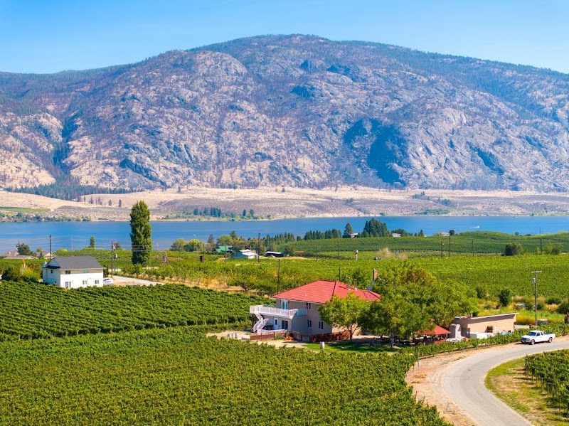 Mythology Vineyard