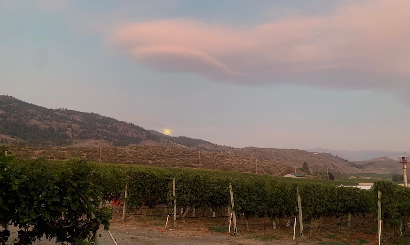 Mythology Vineyard 2