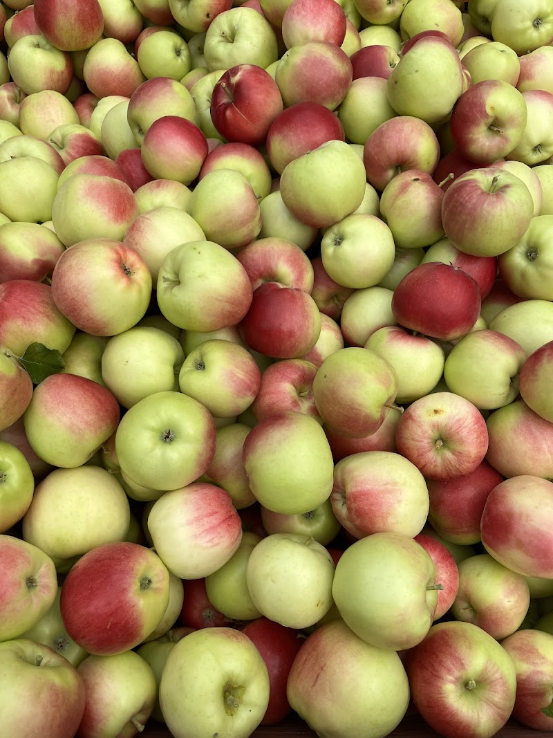 Nelson-Rouleau Tree Fruits 4