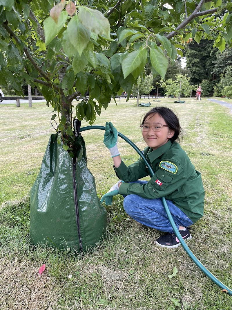 Ocean Park Community Orchard 4