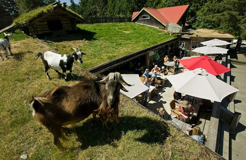 Old Country Market 2