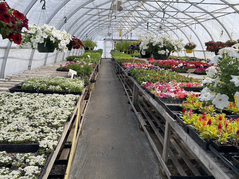 Oliver Garden & Fruit Market 4