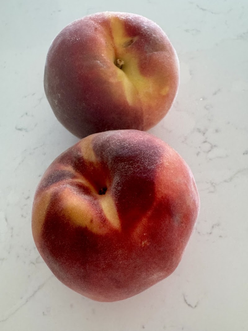 Open View Organic Orchard 2
