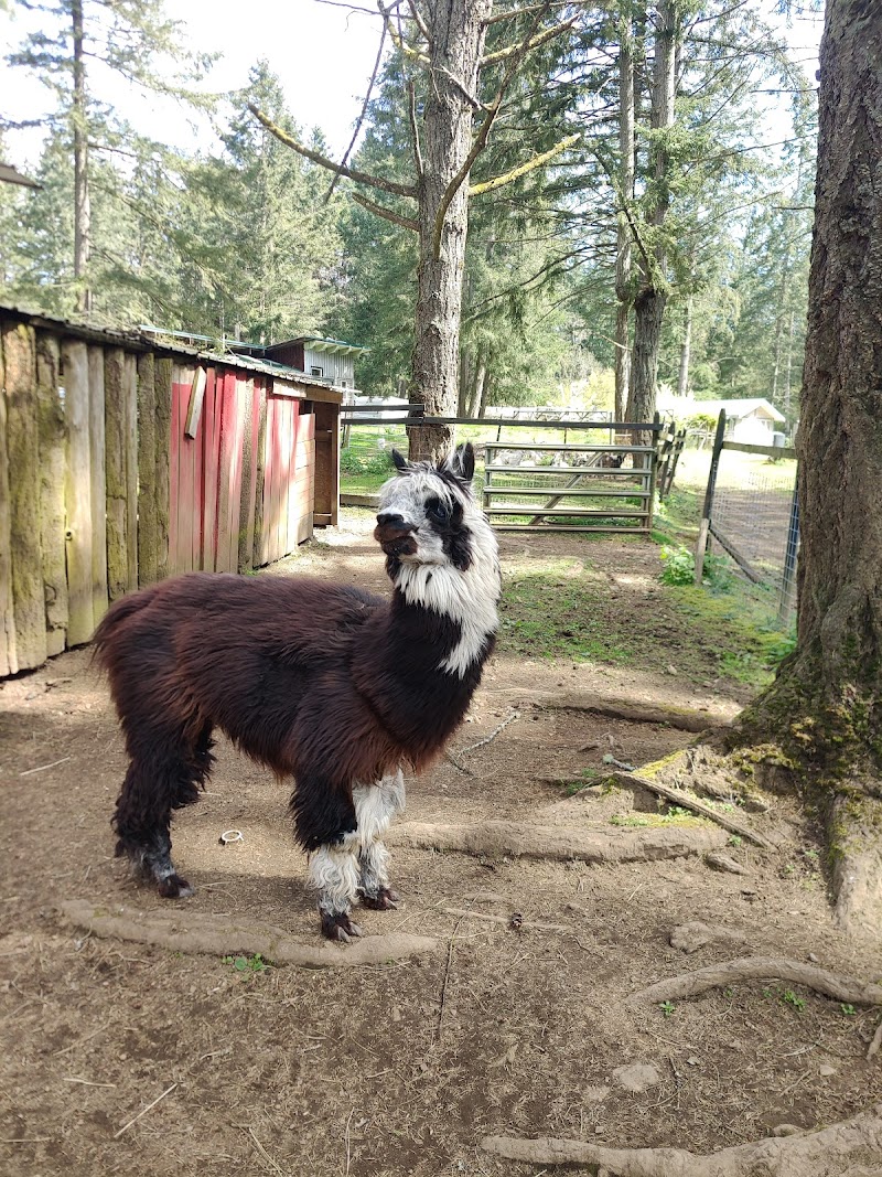 Paradise Island Farm 5