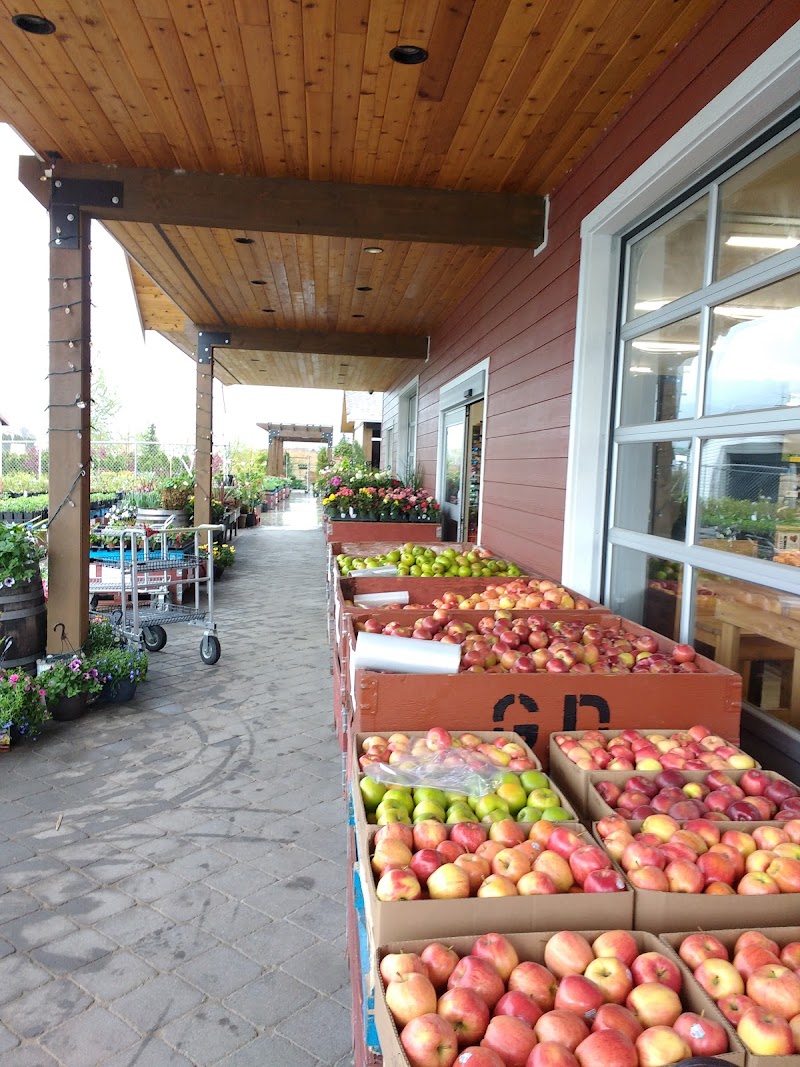 Pedro's Farm Market 5