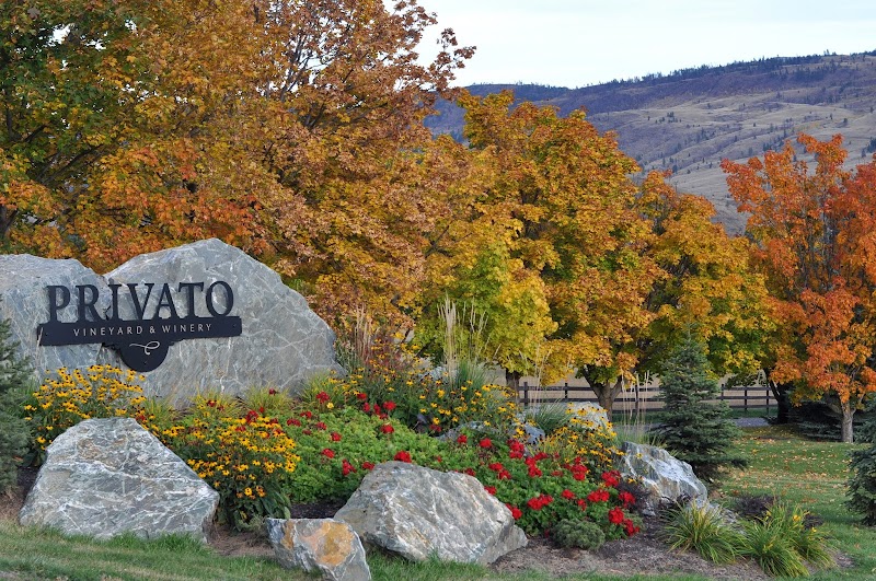 Privato Vineyard & Winery