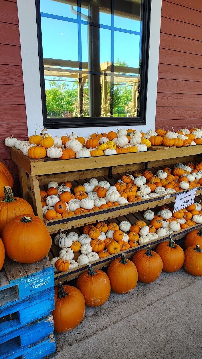 Ralph's Farm Market 4