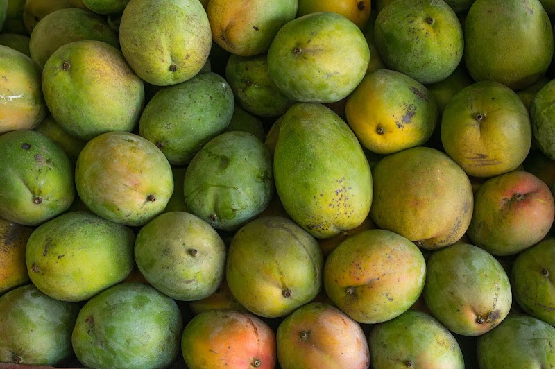 Robert's Fruit Stand 2