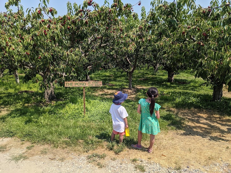 Rose Hill Orchard 4
