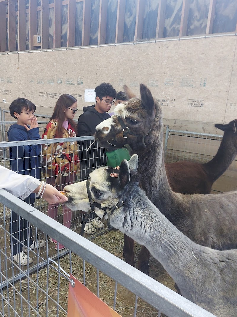 Saanich Fairgrounds 3