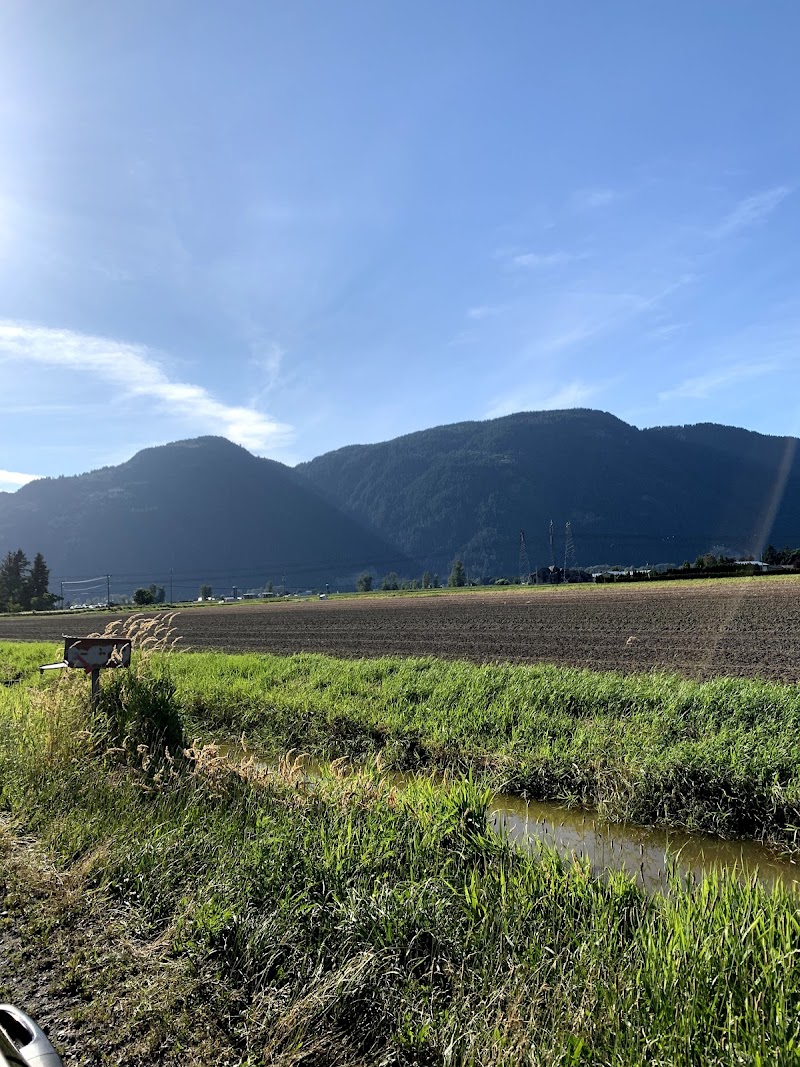 Sahota farms 3