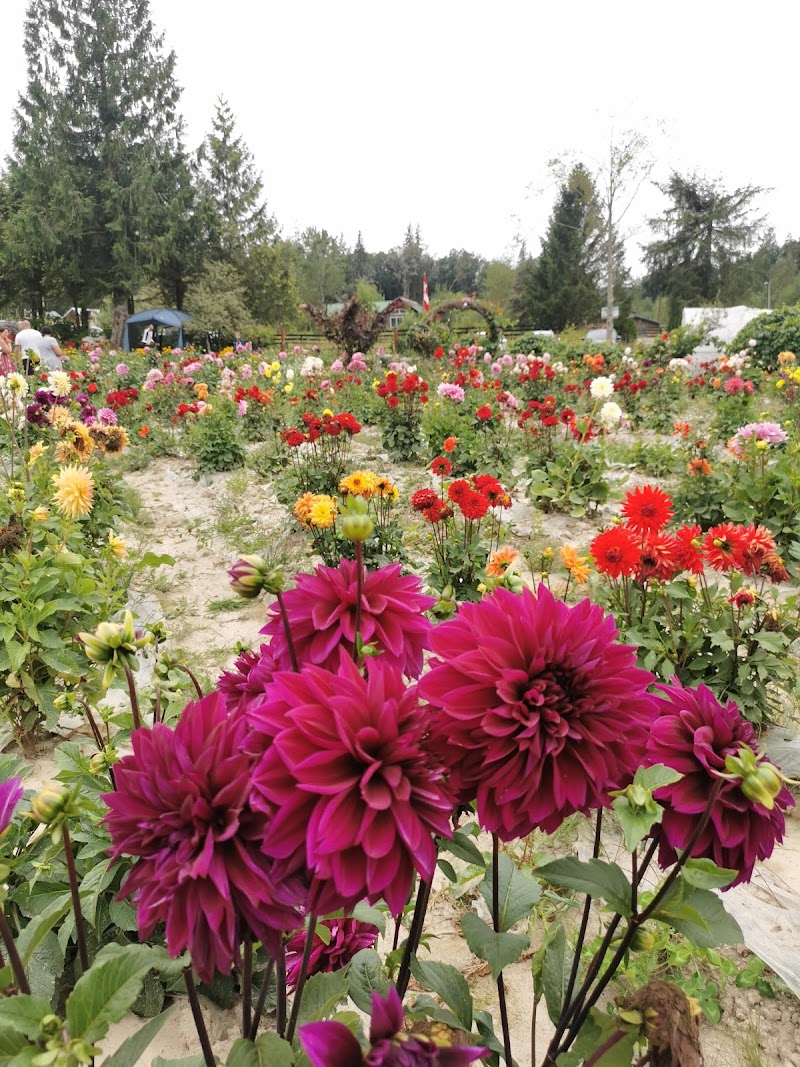Shangrila Farm 2