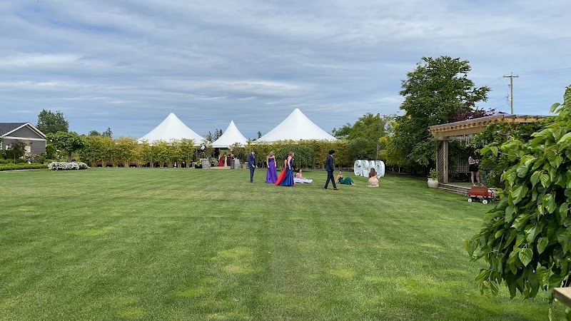 Sinocan Weddings 5
