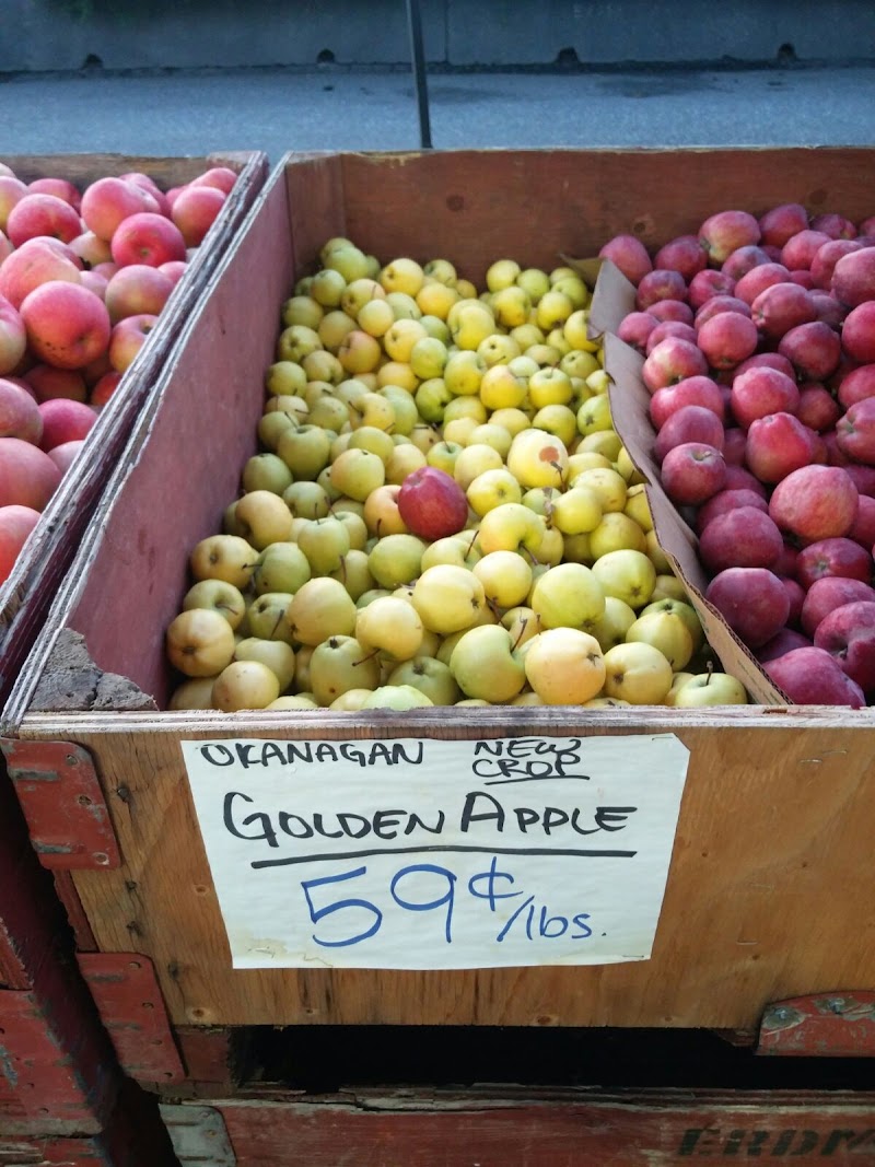 SKT Farm Market 3