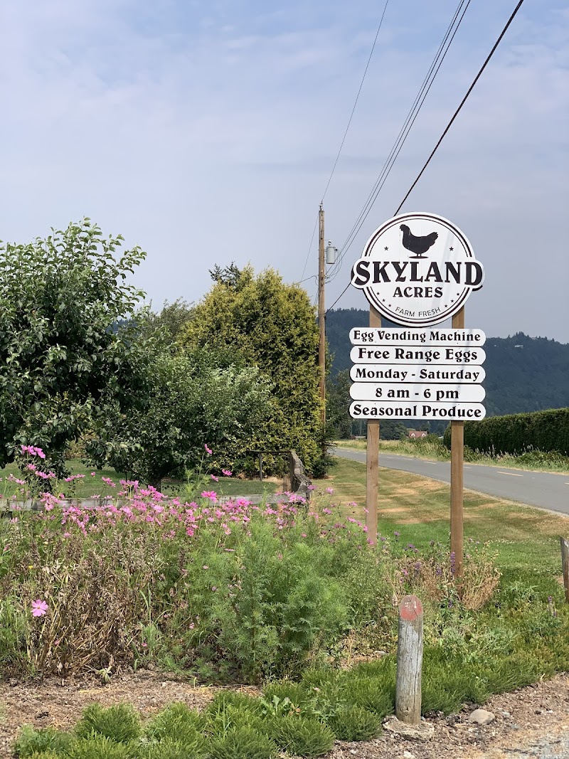 Skyland Acres 5