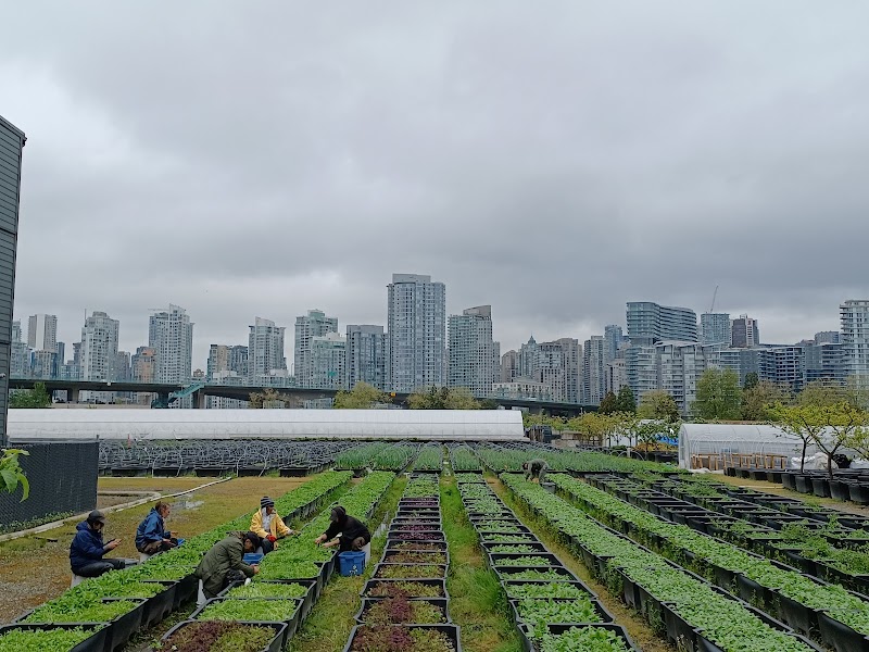 Sole Food Farms