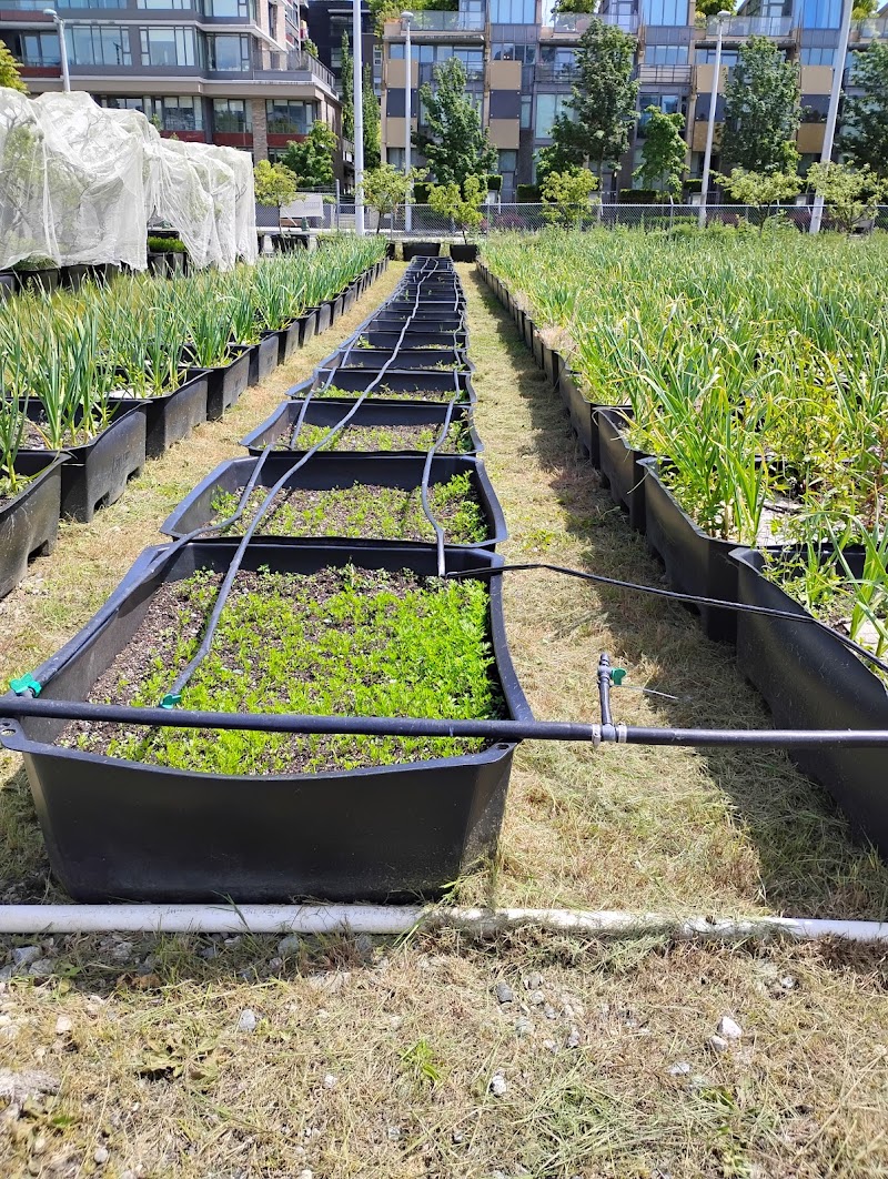 Sole Food Farms 3