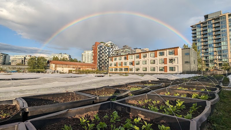 Sole Food Farms 4