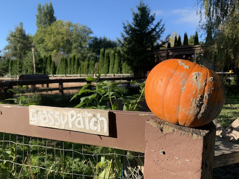 Southlands Heritage Farm 2