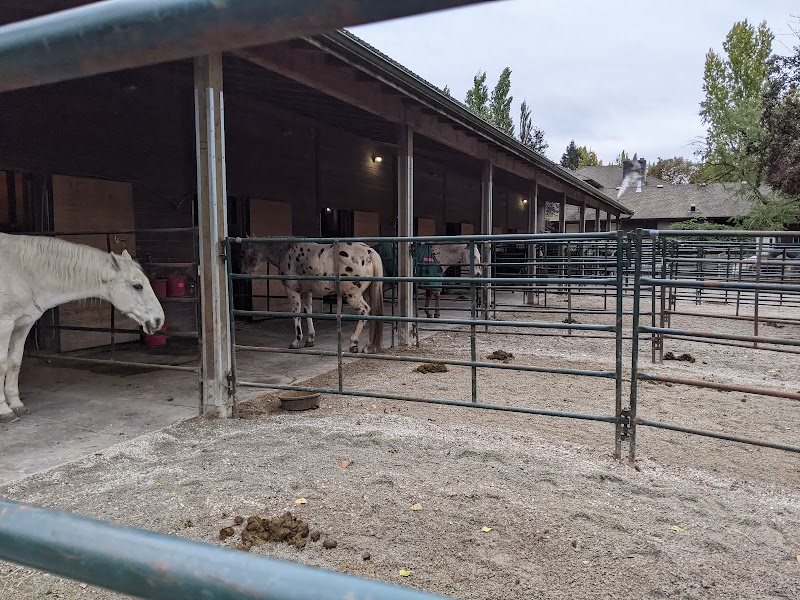 Southlands Heritage Farm 3
