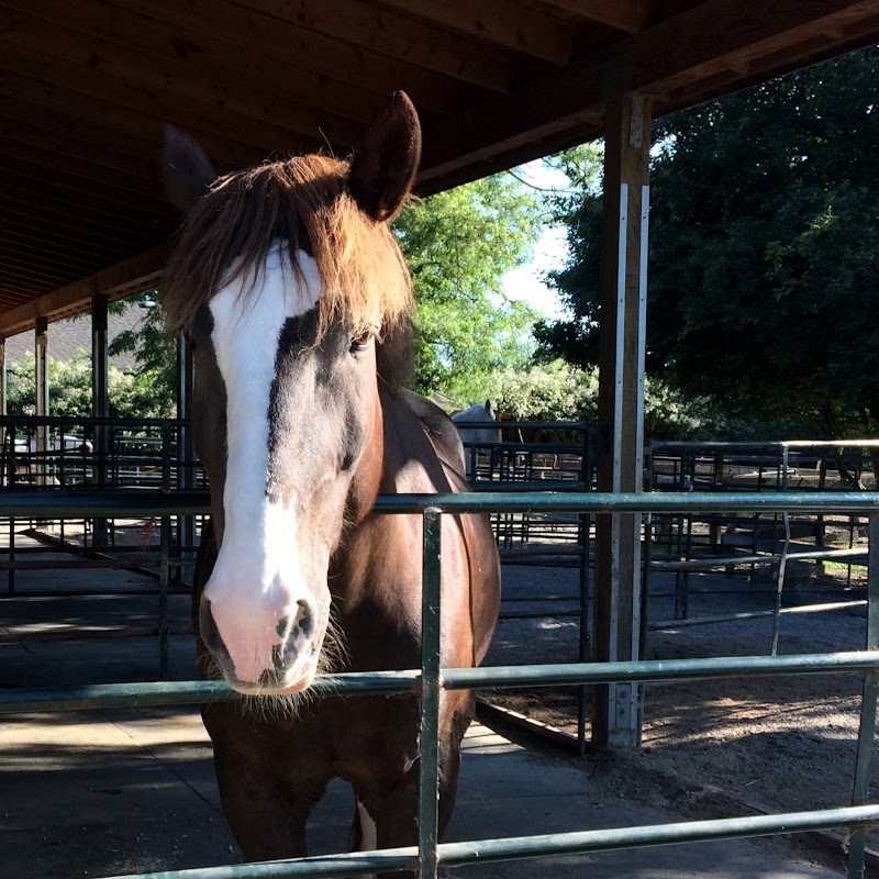 Southlands Heritage Farm 5