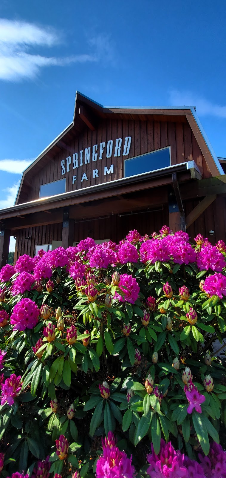 Springford Farm