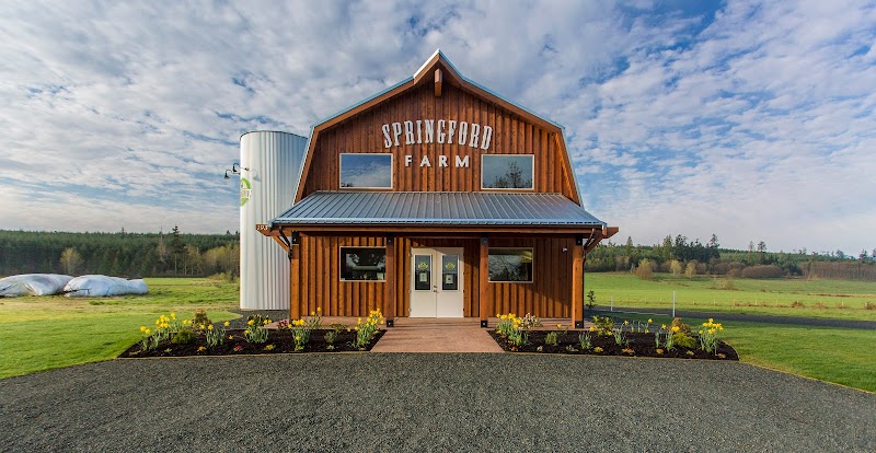 Springford Farm 2