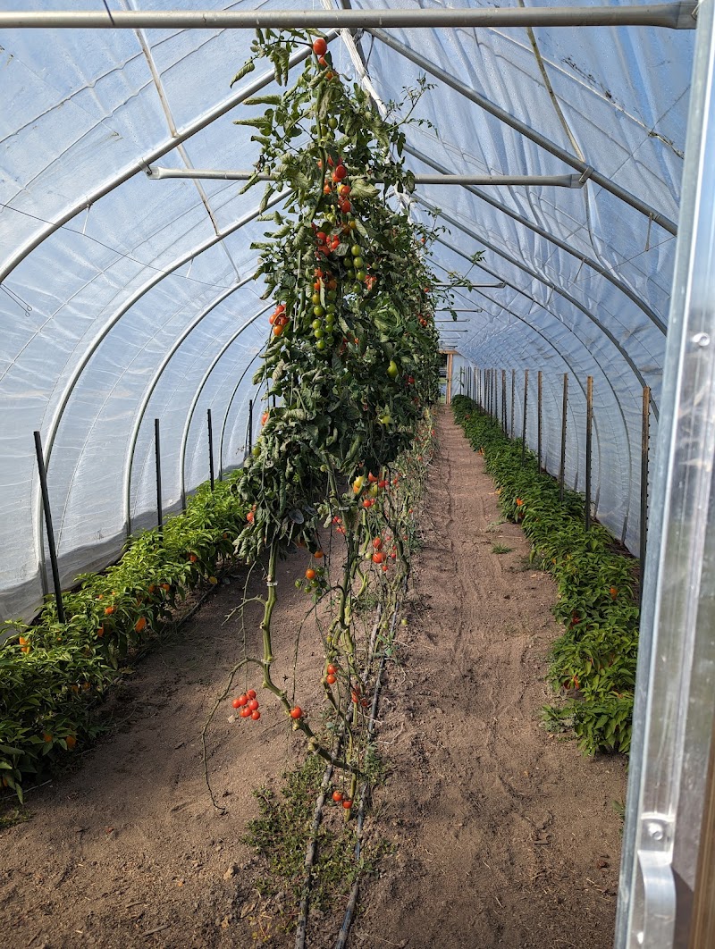 Stable Harvest Farm 3
